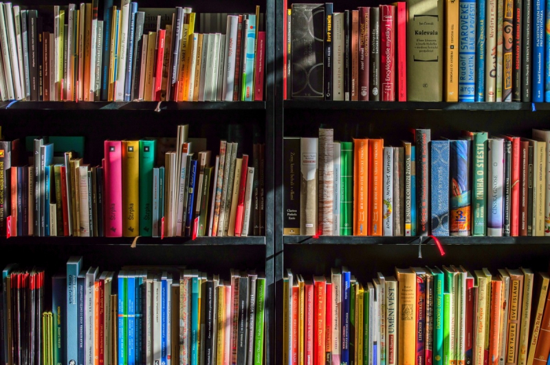 boutique-CHATEAUNEUF GRASSE-min_books_bookstore_book_reading_shop_writer_sale_books_read-822866